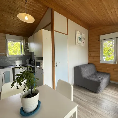 Holiday home Au Bord De L'eau, Terrasse Privee, Peche, Baignade, Nature Et Detente, Animaux Acceptes - Fr-1-489-359 *