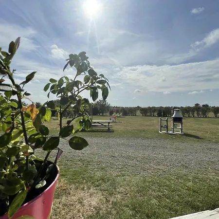 Holiday home Au Bord De L'eau, Terrasse Privee, Peche, Baignade, Nature Et Detente, Animaux Acceptes - Fr-1-489-359 *
